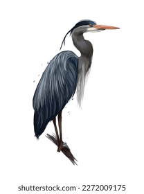 Egyptian heron, Great blue heron from multicolored paints. Splash of watercolor, colored drawing, realistic. Vector illustration of paints