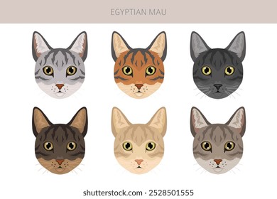 Clipart de Mau Cat egípcio. Todas as cores do casaco definido.  Todas as raças de gato características infográfico. Ilustração vetorial