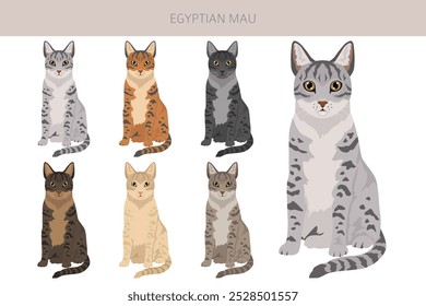 Egyptian Mau Cat clipart. All coat colors set.  All cat breeds characteristics infographic. Vector illustration