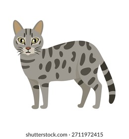 Gato egipcio Mau. Ilustración de Clipart de Vector plano con fondo aislado.