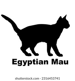 Egyptian Mau cat silhouette. Cat breeds vector. Pet. Animal