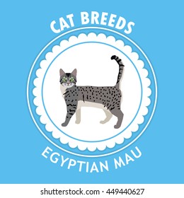 Egyptian mau, Isolated cat breed, Vector illustration