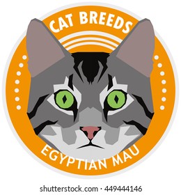 Egyptian mau, Isolated cat breed, Vector illustration