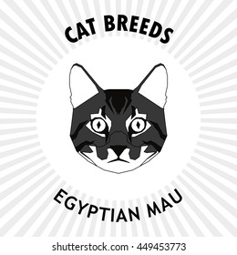 Egyptian mau, Isolated cat breed, Vector illustration