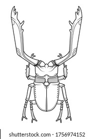 Egyptian scarab beetle. Hand drawn vintage tattoo art. Vector illustration. Icon isolated on white background.