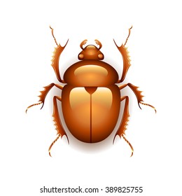 Egyptian scarab beetle isolated on transparent background, photo-realistic vector illustration
