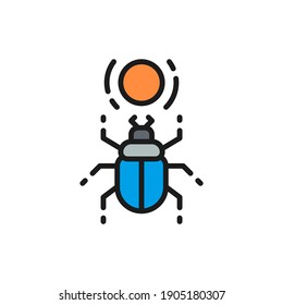 Egyptian scarab, beetle, sacred bug flat color line icon.