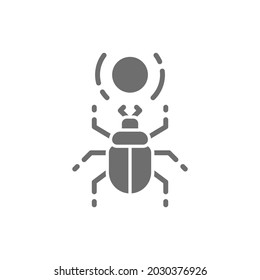 Egyptian scarab, beetle, sacred bug grey icon.