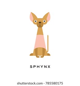 Egyptian sphynx cat with funny muzzle. Hairless kitten with long thin tail and big ears. Cartoon domestic animal. Flat vector design for vet service or pet shop