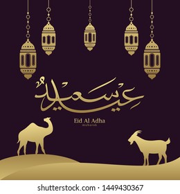 Eid Adha Mubarak arabic calligraphy for islamic greeting background.