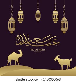 Eid Adha Mubarak arabic calligraphy for islamic greeting background.
