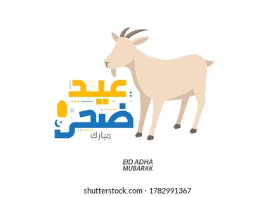 Eid adha mubarak calligraphy vector. Celebration of Muslim holiday the sacrifice a goat
