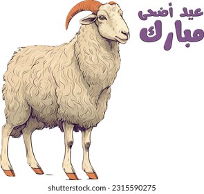 Eid Adha Mubarak Muslim Celebration Sheep Congratulations