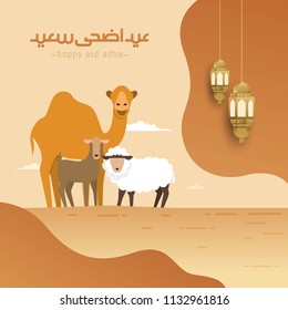 Eid Al Adha celebration of Muslim holiday the sacrifice a camel, sheep and goat.