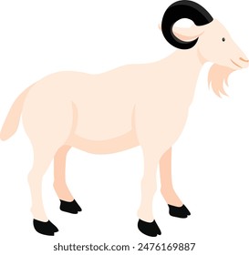 Eid Al Adha Celebration of Muslim holiday Background. The sacrifice a camel, cow, sheep and goat Eid-al-adha concept Islamic vector illustration.