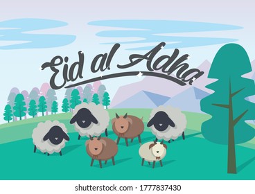 eid al adha at grass field