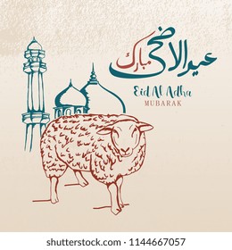 Eid Al Adha greeting card design with goat and arabic calligraphy vintage style vector illustration square size.