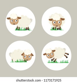 Eid al-Adha the sacrifice to ram or white sheep in many positions