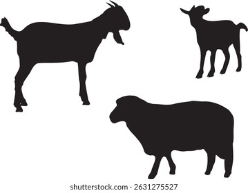 Eid Mubarak and  sheep art design, sheep vectors, goat vector, lamb vector