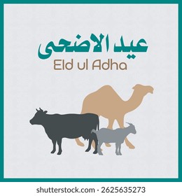 Eid ul Adha Social Media post template, Vector Cow, Camel and Goat