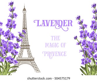 Eiffel tower icon with lavender flowers isolated over white background with sign Lavender te magic of provence. Vector illustration.