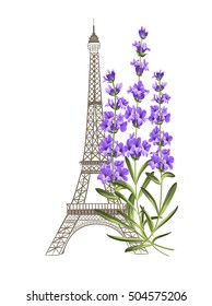 Eiffel tower icon with lavender flowers isolated over white background. Vector illustration.