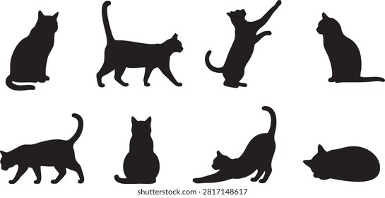 Eight black cat silhouettes are depicted in various dynamic and static poses against a clean white background, showcasing feline grace and common behaviors.