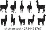 Eight black llama silhouettes in different poses on a plain white background