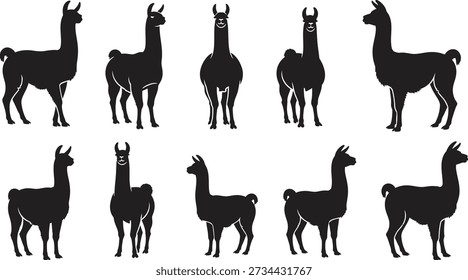 Eight black llama silhouettes in different poses on a plain white background