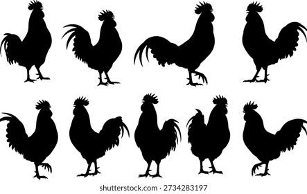 Oito silhuetas de galo preto em diferentes posturas e vistas sobre um fundo branco
