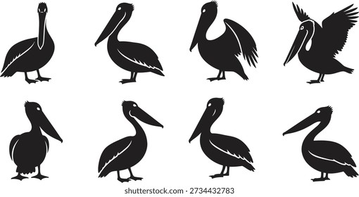 Oito silhuetas negras de pelicanos em diferentes posturas sobre um fundo branco plano