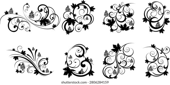 Eight black swirling vine with grape clusters and leaves on a white background. swirl, vine, grape. black swirling vines with...