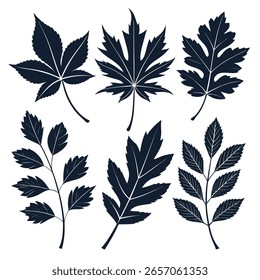 Conjunto botánico de ocho Ilustraciones de hoja de silueta oscura