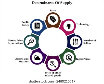 Ocho determinantes de la oferta. Plantilla infográfica con iconos y marcador de posición de descripción