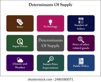Ocho determinantes de la oferta. Plantilla infográfica con iconos y marcador de posición de descripción