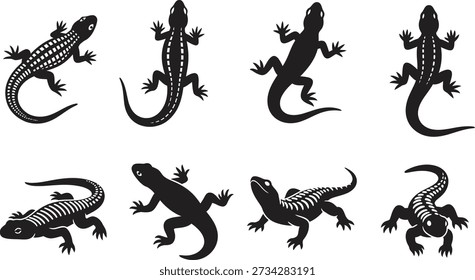 Oito diferentes silhuetas de lagarto em preto e branco, mostrando várias poses e formas de corpo