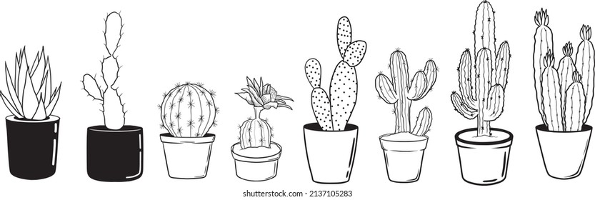 Eight different simple line cactus plants in pots.