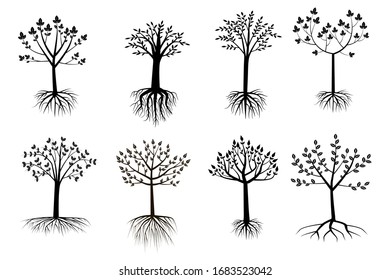 Eight different trees with different shapes of crown leaves.
and roots. Vector illustration. Stock Photo.