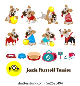 Eight funny dogs Jack Russell Terrier in clothes. Clothing and accessories for dogs. Vector illustration isolated on white background.