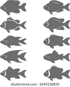 Eight gray fish silhouettes varying in shape and size are arranged in a grid pattern against a white background simple flat style vector illustration
