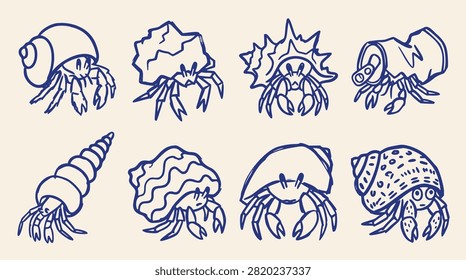 Eight hermit crabs in