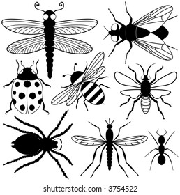 Eight Insect Silhouettes