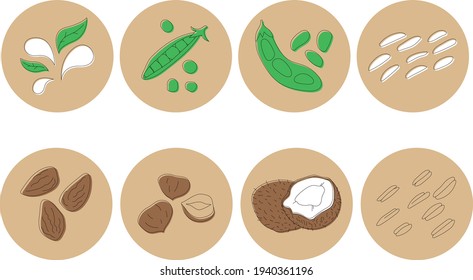 Eight isolated vector icons for social media story highlight covers. Various dairy free milk substitutes illustrations with editable stroke.