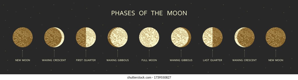 Eight moon phases on dark background with stars.