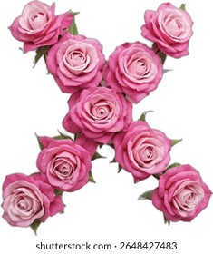 Eight pink roses are artfully arranged to form the letter "X" against a stark white backdrop, showcasing the delicate beauty and vibrant color of the blossoms.