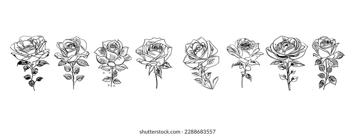 The Eight Roses Coloring Book showcases eight distinct roses, each with its unique design, portrayed through captivating illustrations.