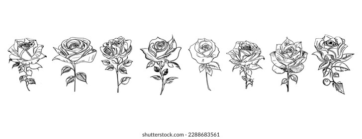 The Eight Roses Coloring Book showcases eight distinct roses, each with its unique design, portrayed through captivating illustrations.