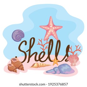 eight sea shells colors set scene and lettering vector illustration design
