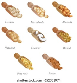 Eight shovels with nuts in them. Part one / There are cashew, macadamia, almonds, hazelnut, coconut, walnut, pecan and pine nuts in the shovels
