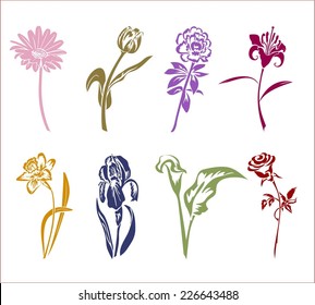 Eight silhouettes of flowers - gerbera, tulip, peony, lily, narcissus, crocus, Callie Rose.